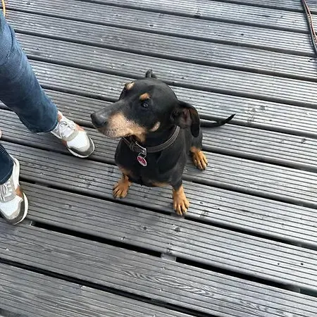 Premium Hausboot Trave Traum * Lubecca